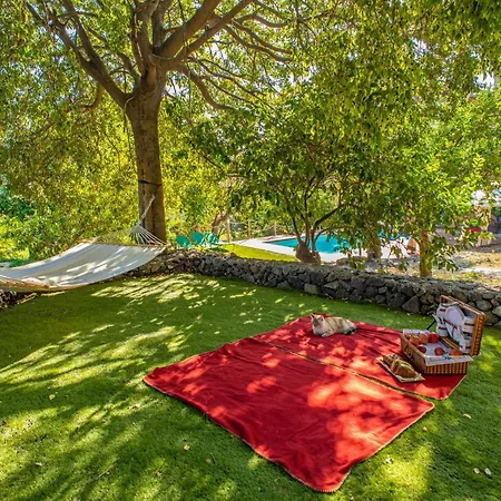 Oliva Ecofriendly Villa